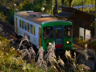 【ＪＲ東海＆16私鉄 乗り鉄★たびきっぷ】で行く秋の旅　その６『樽見鉄道乗り倒し・後編』（最終回）