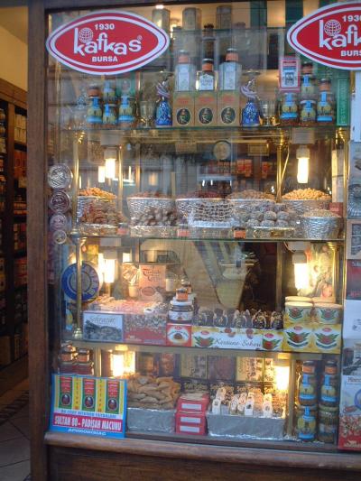 トルコ最高!(8)~アンカラエクスプレス~イスタンブル