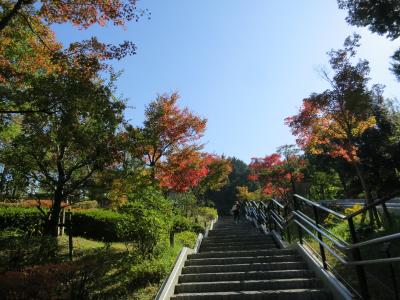 心の安らぎ旅行（2017/2018 THE DREAM QUEST 福岡マリンメッセ編　<太宰府>　DREAMS COME TRUE 大宰府の街並み散策Part13）