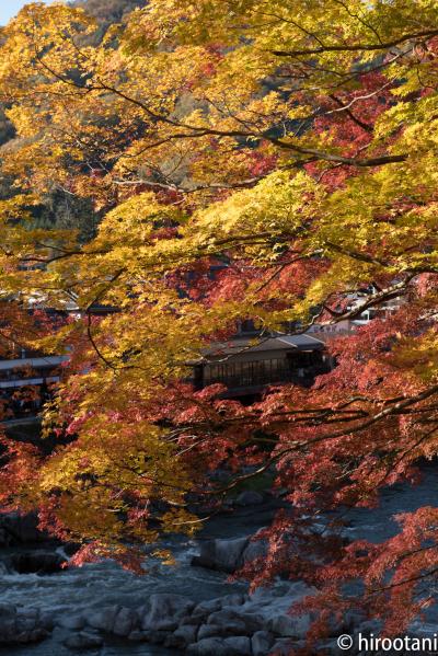 香嵐渓の紅葉