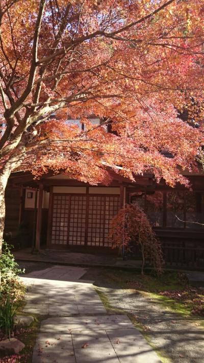 まだ大丈夫かな?鎌倉の紅葉