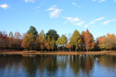 彩の森入間公園　　秋のちょこっと散歩