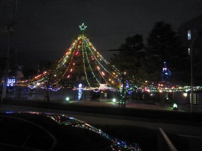 公園のクリスマスツリー