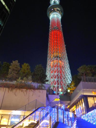 初東京の孫と東京観光～１日目・・・東京スカイツリー&すみだ水族館!!