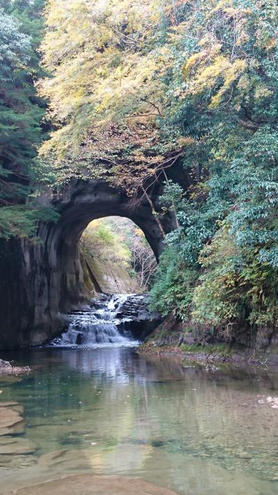 秋の一日のバス旅行