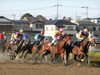 浦和競馬場　（第３８回浦和記念）