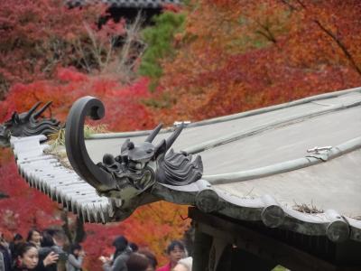 京都紅葉どっぷり旅　～東福寺　南禅寺