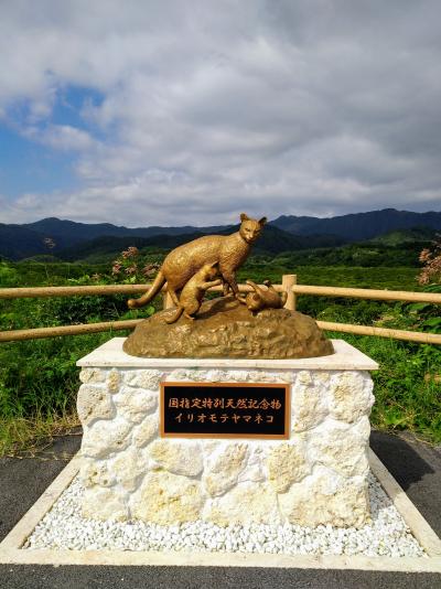 ”どこかにマイル”で八重山列島へ１（西表島編）