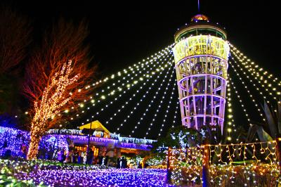 34,000足跡の女子旅♪ 鎌倉 紅葉ハイキング【獅子舞のモミジ谷・瑞泉寺】& 江ノ島イルミ【湘南の宝石】