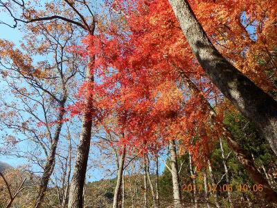 西丹沢・丹沢荘に泊まって屏風岩山を歩く