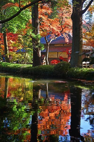 今年もりんご狩り前に寄り道－平林寺の紅葉－