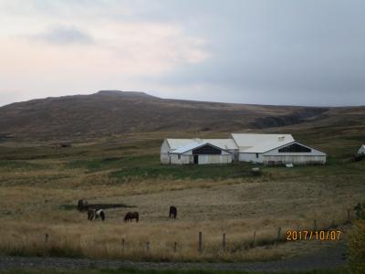 アイスランドレンタカー一人の旅の宿・・・不便な所にも泊まれるのでホステルを独り占め