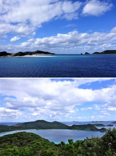 去年波照間島に行けなかったのと、（ついでに）カリブ海のブルーホールの代わりに、慶良間諸島に行くことを思いついた。慶良間ブルーを見られるのか？