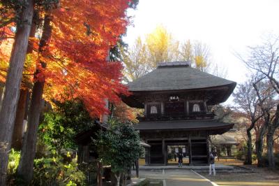東京の紅葉　広徳寺　2017年の秋