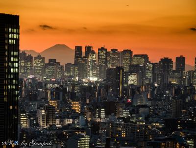 冬晴れの大都会の夕景・夜景、そして久々のイルミネーションがまばゆい