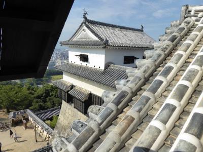 初秋の愛媛旅行♪　Vol37(第3日)　☆松山：「松山城」城内からパノラマ♪