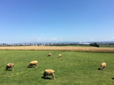 札幌市（H28北海道周遊旅行９・完）　ー旅の締め括り札幌、ありがとう北海道ー