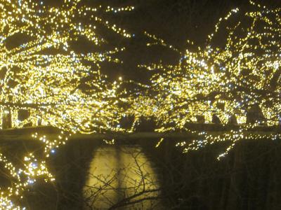 中目黒 祐天寺 夜景 に関する旅行記 ブログ フォートラベル 東京 中目黒 祐天寺 夜景 に関する旅行記 ブログ フォートラベル 東京
