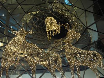 ハイデルベルク&フランクフルト クリスマスマーケット巡り 2017