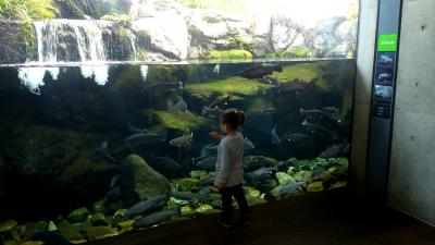 真冬に子供と那須塩原で遊ぶ!(水族館)