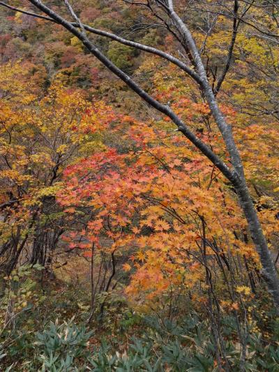 紅葉の鳴子温泉