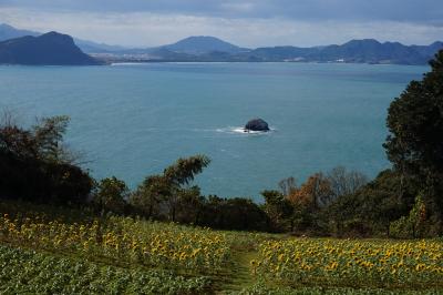 冬の能古島は泊まって楽しむ！貸別荘で４度目のお泊り忘年会