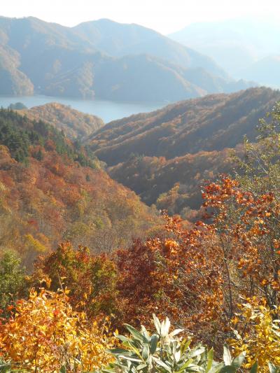 「圧倒的な　紅葉美！・・裏磐梯　山風景」に『旦那様が　カメラ・デビュー？』（喜多方では　朝ラーメン＆蔵巡り）