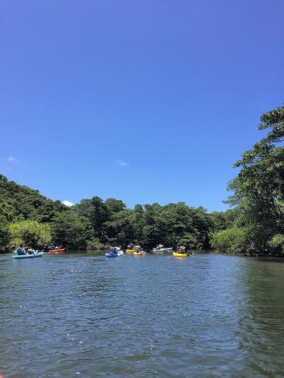 絶景を求めて八重山諸島＠西表島でトレッキングとカヌー体験＆バラス島でシュノーケリング　-Iriomote Island編-