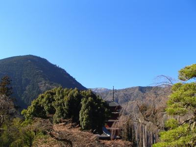 身延山久遠寺参拝の記
