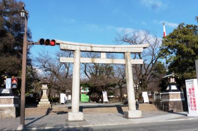 あったか伊豆の旅。１日目：午前の部