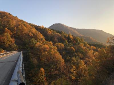 天気も良かった紅葉のひらゆの森