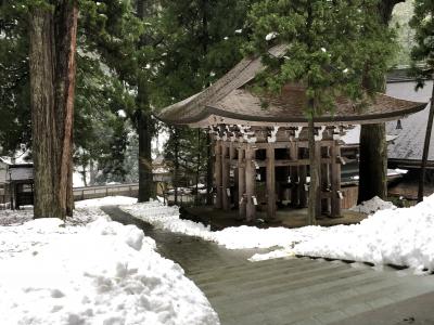 永平寺～丸岡城～山代温泉～恐竜博物館　　1日目