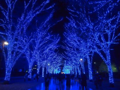 渋谷のイルミネーション青の洞窟が見たくて行ってきました