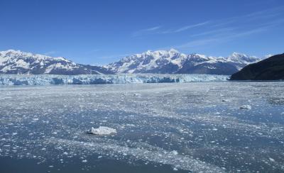 アラスカの雄大な氷河とインサイドパッセージクルージング　16日間