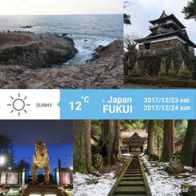 旬の『せいこがに』を求めて  2017年 12月