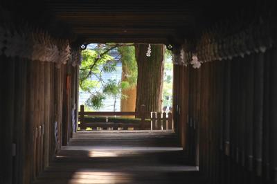 諏訪大社上社へふらっと参拝