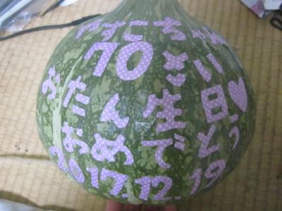 2017年末・6円航空券で2泊3日、母の誕生日を祝う弾丸旅