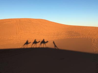 はじめてのアフリカ大陸！　魅惑のモロッコへ・・・No.6　　サハラ砂漠　　