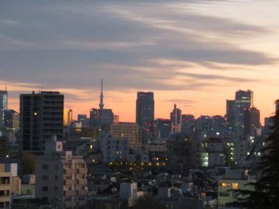 孫たちの家から東京の朝景色を写す