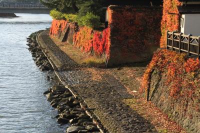 2017年秋｜新潟・山形の凸凹旅【７】-- 朝陽に映える紅葉のケヤキ並木と石畳に彩られた「山居倉庫」--