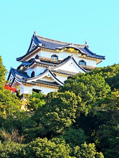 彦根-2　彦根城屋形船a お堀をめぐり/10時発　☆名案内を聞き、ゆったり50分