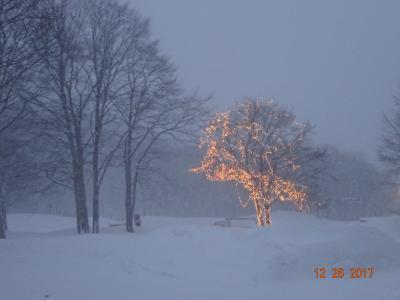 雪国。