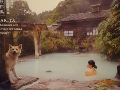 悲しみは雪のように・・・