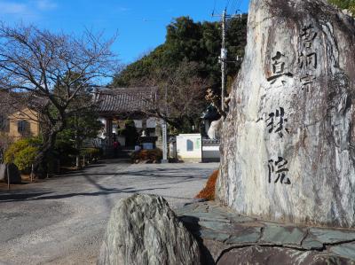 八重姫　千鶴丸考　伊東まで 八重姫 千鶴丸考 伊東まで 八重姫・千鶴丸考 (1971年) |本