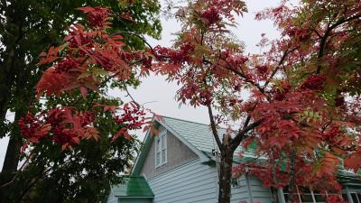 余市&札幌食を楽しむ☆2泊3日