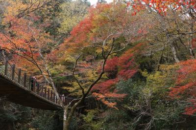 茨城紅葉の旅3(花貫渓谷)