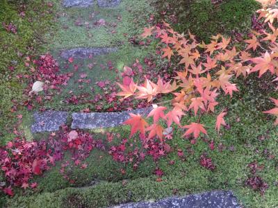 京都紅葉どっぷり旅　～天龍寺　花の寺