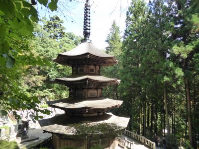 秋の別所温泉♪　Vol9(第2日)　☆別所温泉：「安楽寺」の国宝「八角三重塔」♪