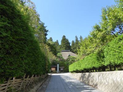 秋の別所温泉♪　Vol10(第2日)　☆別所温泉：「安楽寺」から「常楽寺」へ歩く♪