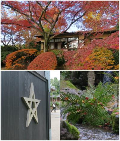 京都　晩秋の紅葉狩り！ - 永観堂/白沙村荘橋本関雪記念館/聴竹居/晴明神社/白峯神宮